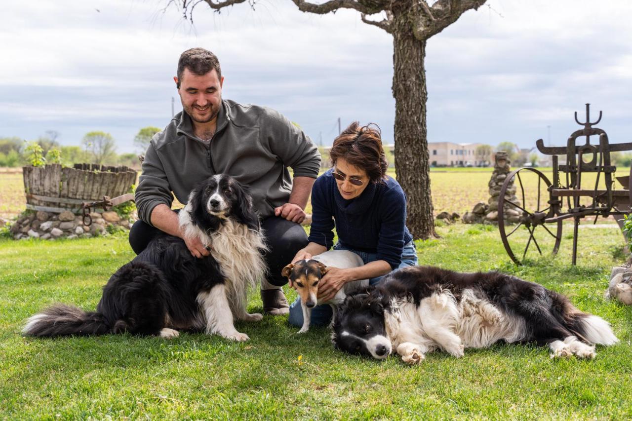 Agriturismo Pozzo Fiorito คาสติญโญเน เดลเล สติเวียเร ภายนอก รูปภาพ