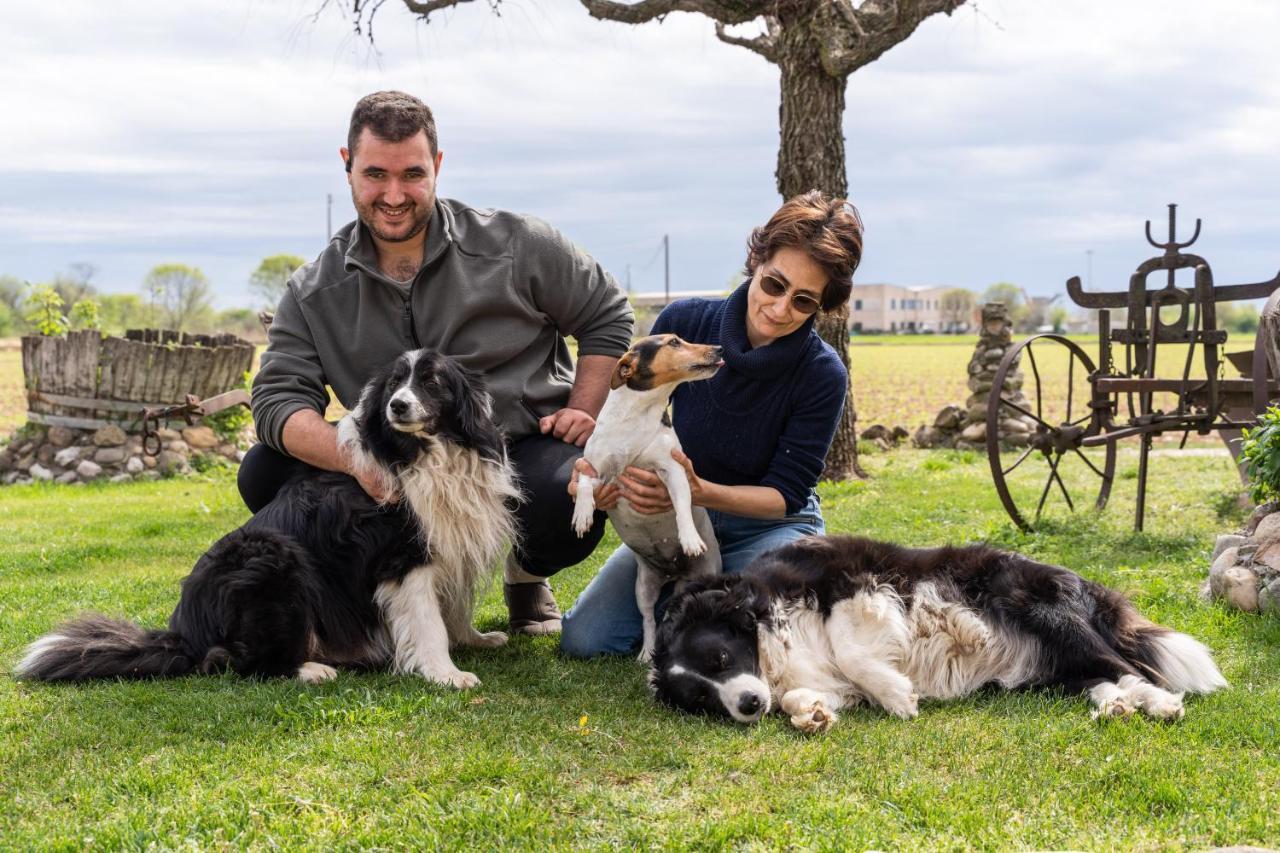 Agriturismo Pozzo Fiorito คาสติญโญเน เดลเล สติเวียเร ภายนอก รูปภาพ