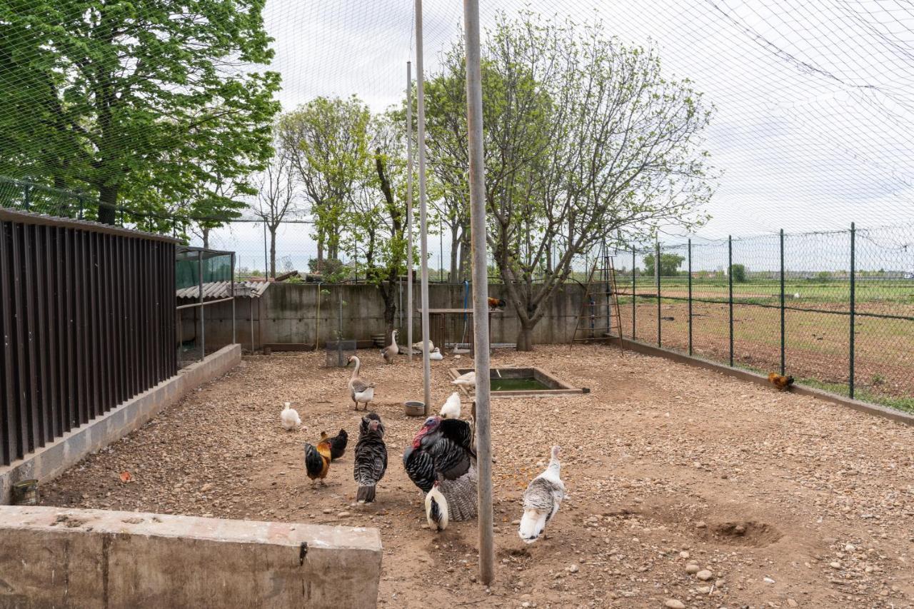 Agriturismo Pozzo Fiorito คาสติญโญเน เดลเล สติเวียเร ภายนอก รูปภาพ