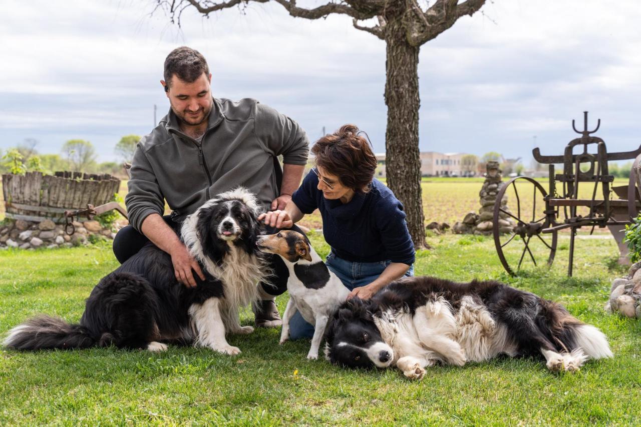 Agriturismo Pozzo Fiorito คาสติญโญเน เดลเล สติเวียเร ภายนอก รูปภาพ