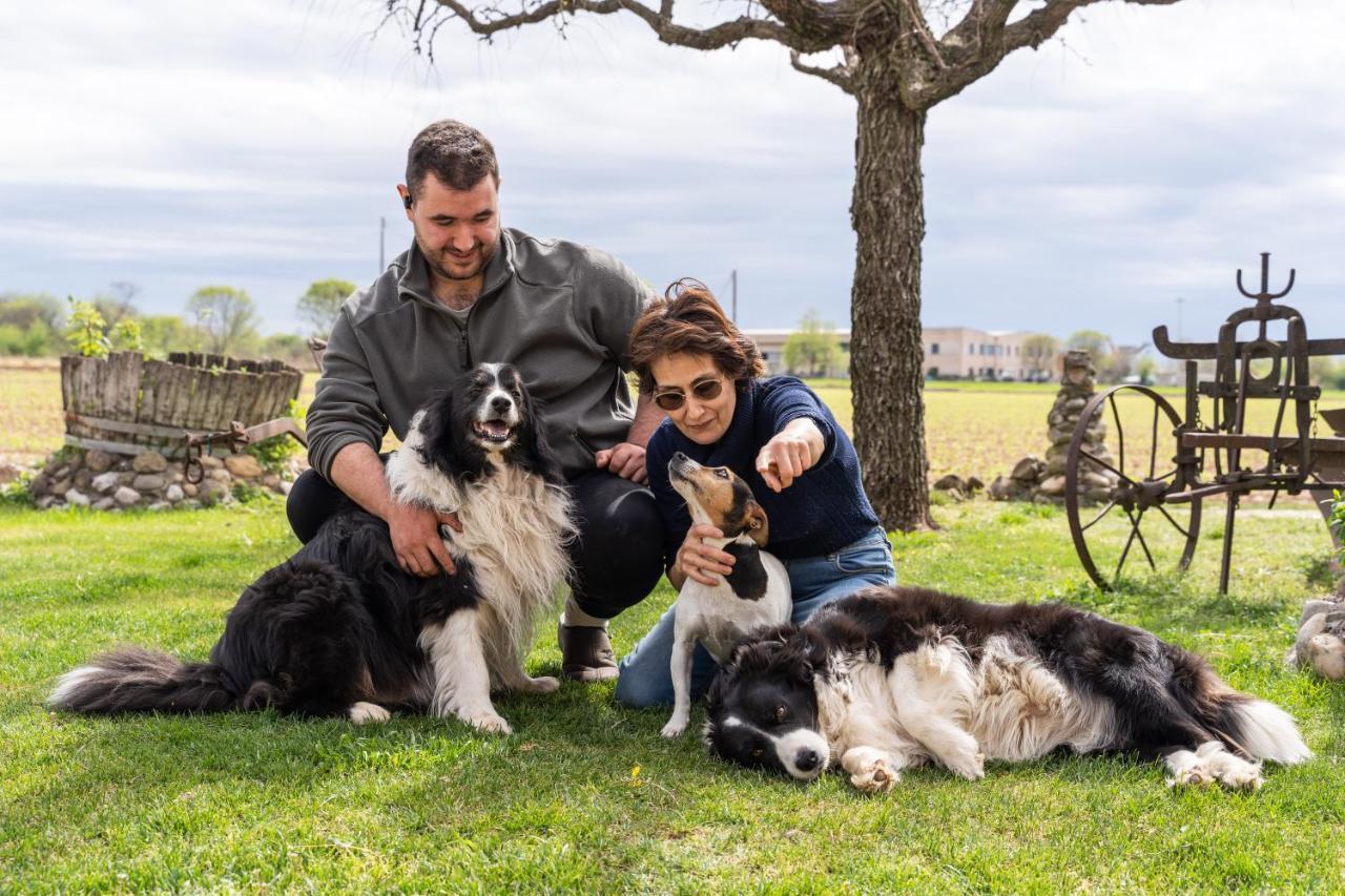 Agriturismo Pozzo Fiorito คาสติญโญเน เดลเล สติเวียเร ภายนอก รูปภาพ
